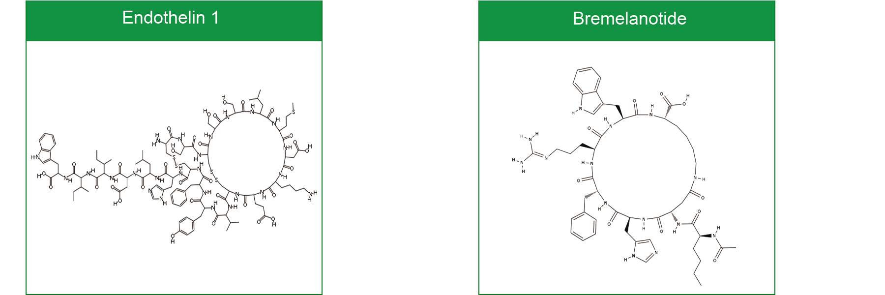 cyclic peptide synthesis
