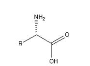 Chiral synthesis of unnatural amino acids (3)