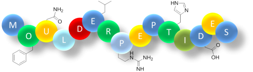 Peptides and cardiovascular function (1)