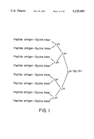 Application of multiple antigen peptides-1