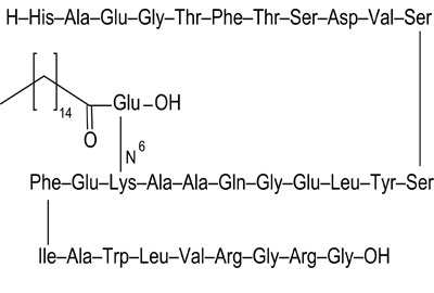 Clinical application of liraglutide (2)