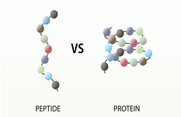 Omizzur-custom-peptide-synthesis-companies-4