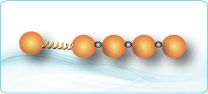 Polypeptide modification：PEGylation