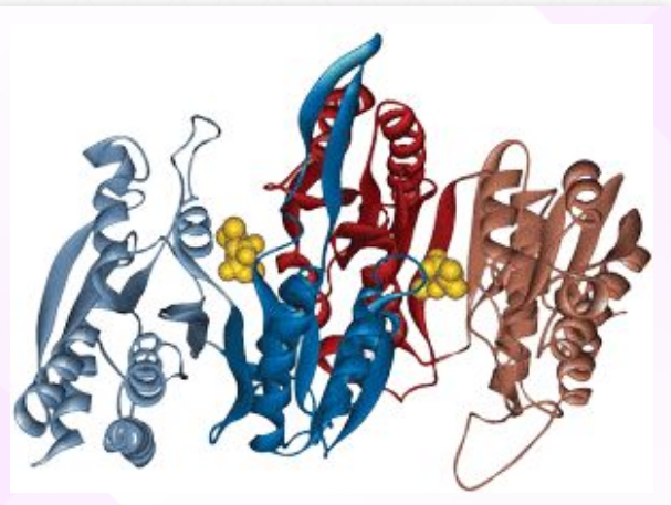 Solid phase synthesis of long peptides