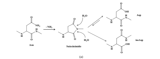 Structure Impurities in Synthetic Peptide Medicines