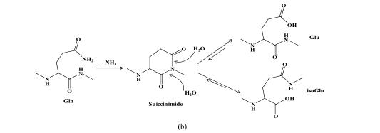 Structure Impurities in Synthetic Peptide Medicines