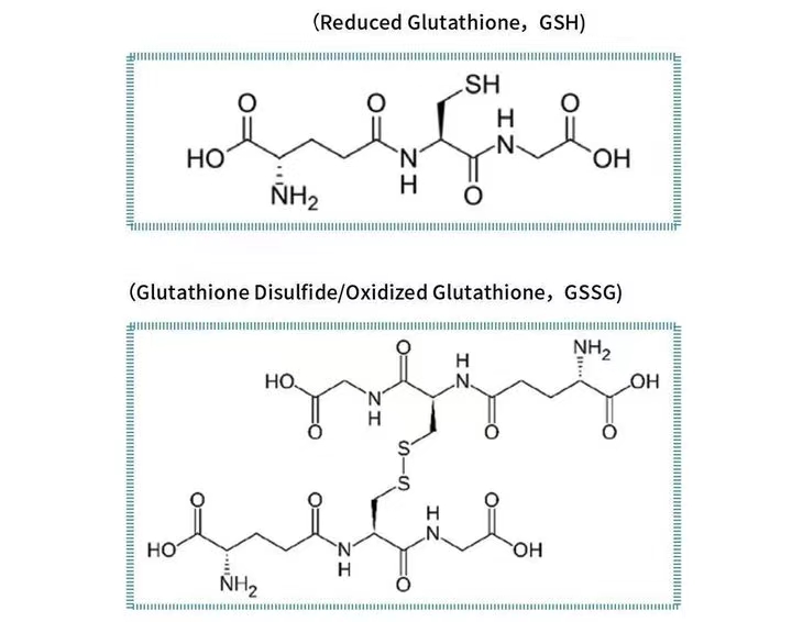 Composition and structural formula of glutathione