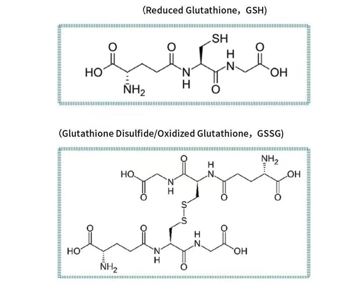 Composition and structural formula of glutathione