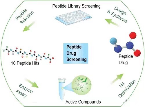 Construction and screening of peptide libraries