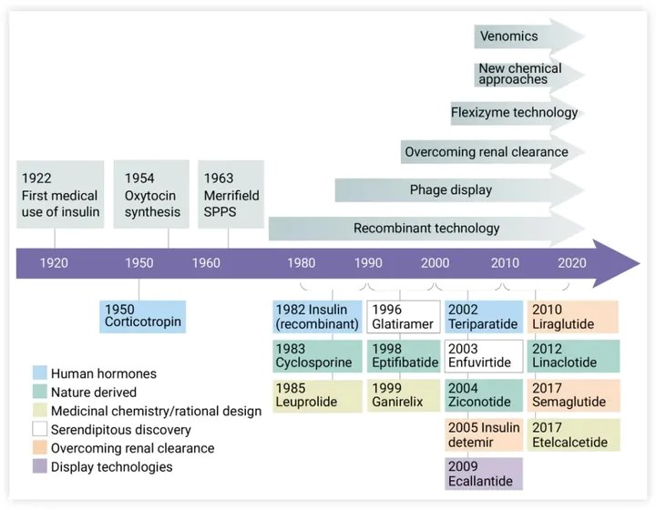 The Origin and Development of Peptide