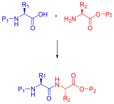 Peptide_coupling.png