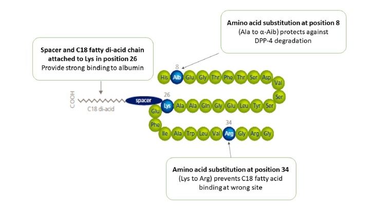 Semaglutide Peptide