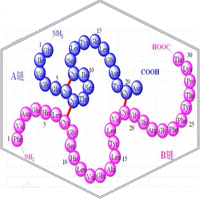 GMP Peptide Manufacturing Services