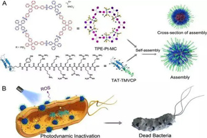 Buy Research Chemicals Peptides Online