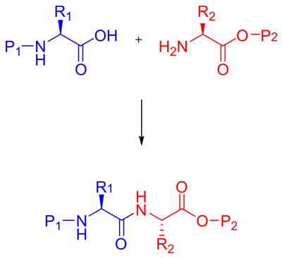 Peptide Synthesis Service India