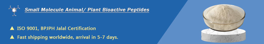 Animal-and-plant-bioactive-peptides.jpg