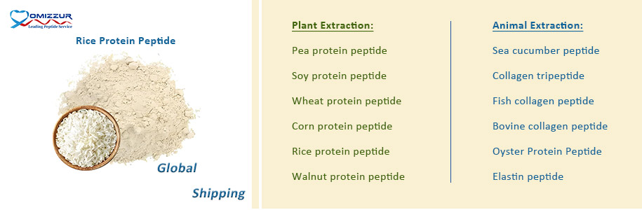 Rice Protein Peptide Rice Protein Peptide