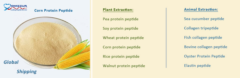 Corn Protein Peptide Corn Protein Peptide