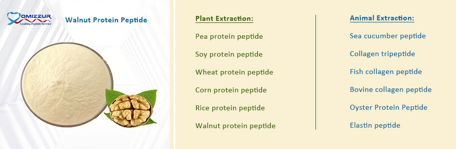 Walnut Protein Peptide Walnut Protein Peptide