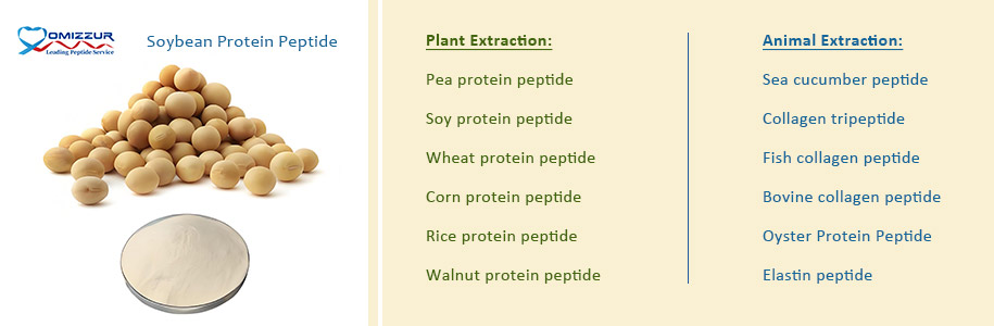 Soybean Protein Peptide Soybean Protein Peptide