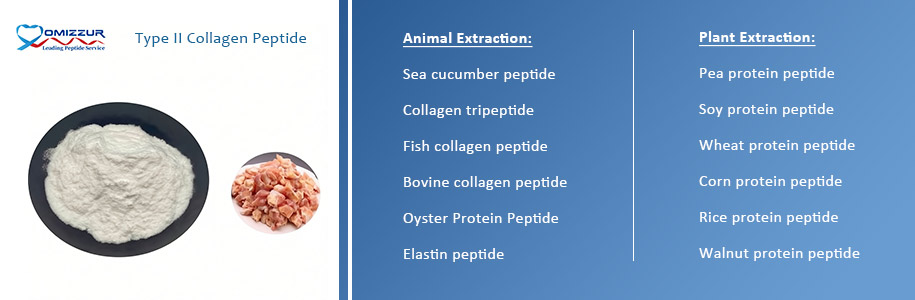 Type II Collagen Peptide