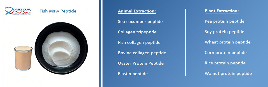 Fish Maw Small Molecule Peptide