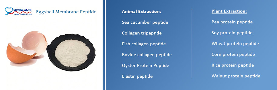 Eggshell Membrane Peptide