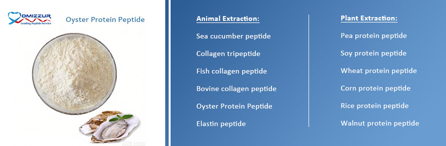 Oyster Protein Peptide