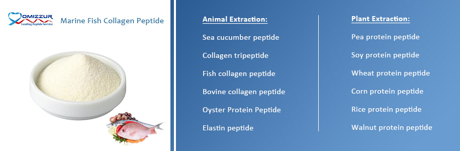 Marine Fish Collagen Peptide Marine Fish Collagen Peptide