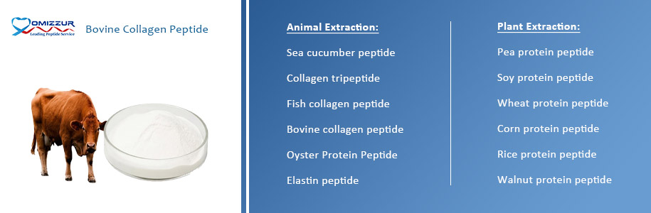 Bovine Collagen Peptide Bovine Collagen Peptide