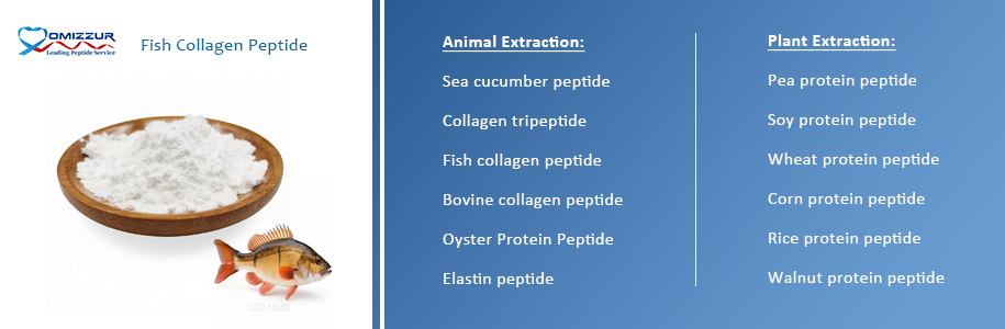 Fish Collagen Peptide Fish Collagen Peptide