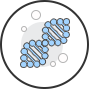 Fmoc-Amino acids