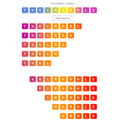 Truncation Peptide Library