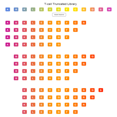 T-cell Truncated Library