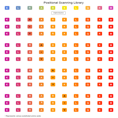 Combinatorial Positional Scanning Peptide Library