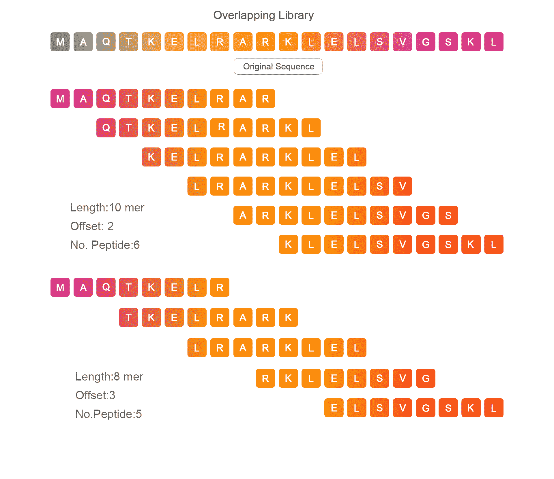 Overlapping Peptide Library