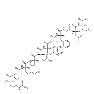 Substance P（SP）