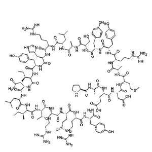 Biotinyl-Neuropeptide Y