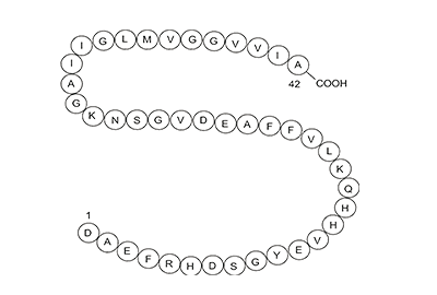 β-Peptide (1-42) (human)