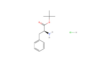 H-Phe-OtBu.HCl