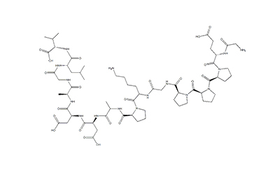 BPC-157 peptide | Multiple organ protection |137525-51-0
