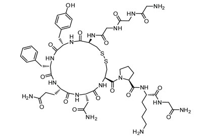 Terlipressin