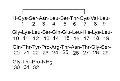 Calcitonin Salmon Impurities