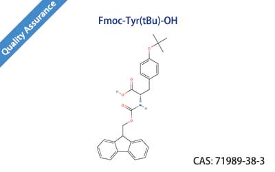 Fmoc-Tyr(tBu)-OH