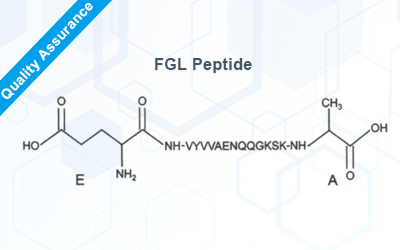 FGL Peptide