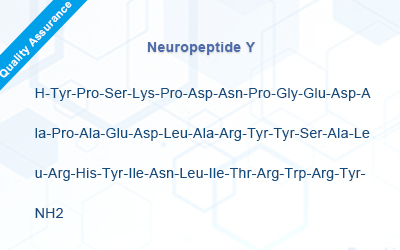 Neuropeptide Y