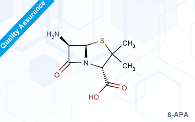 6-Aminopenicillanic acid