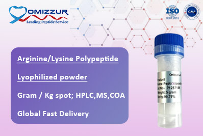 Arginine/Lysine Polypeptide