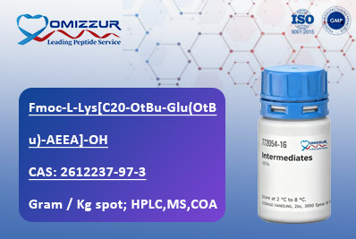 Fmoc-L-Lys[C20-OtBu-Glu(OtBu)-AEEA]-OH