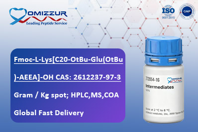Fmoc-L-Lys[C20-OtBu-Glu(OtBu)-AEEA]-OH